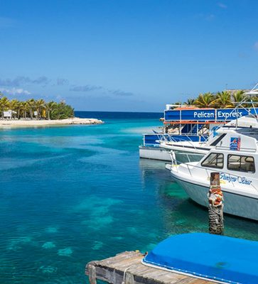 st barthelemy immobilier